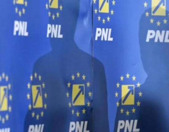 Sedinta cruciala la PNL pentru alegerea presedintelui interimar