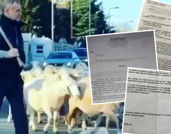 Documente noi care il incrimineaza pe Becali Mafia imobiliara din Pipera expusa