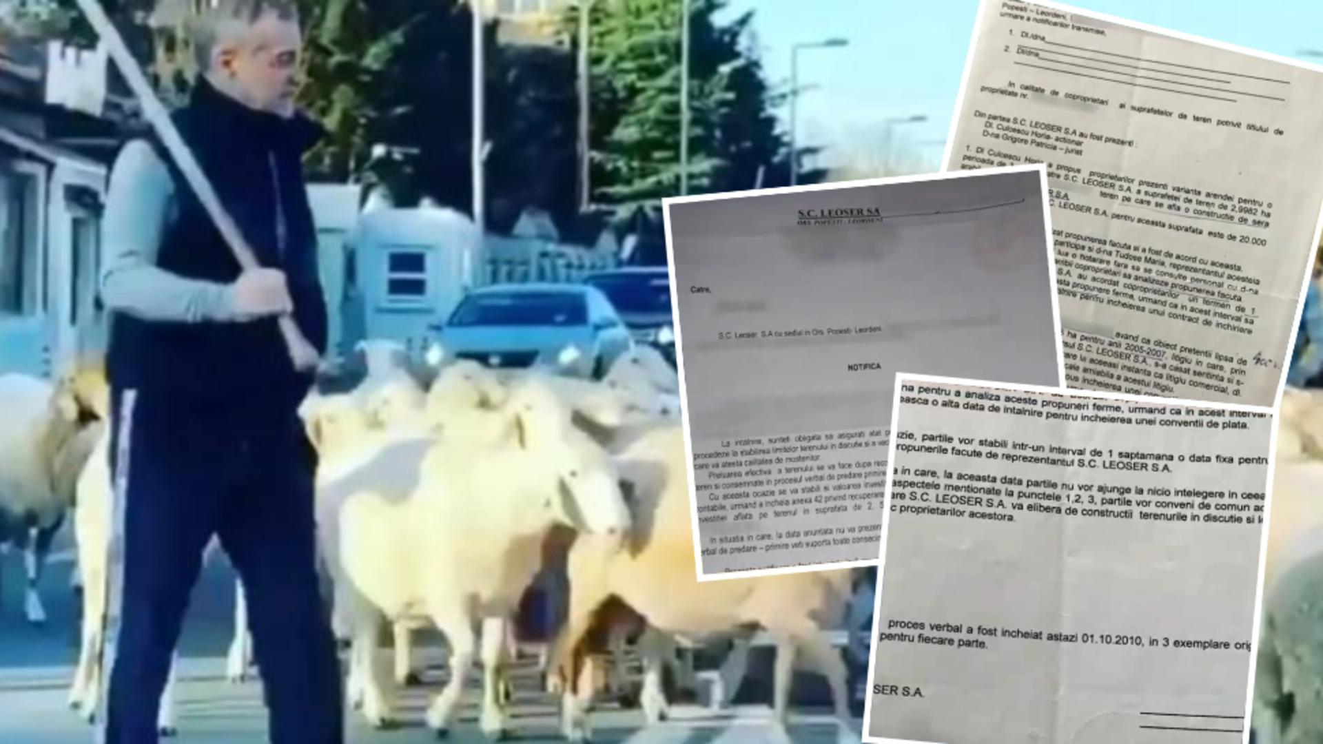 Documente noi care il incrimineaza pe Becali Mafia imobiliara din Pipera