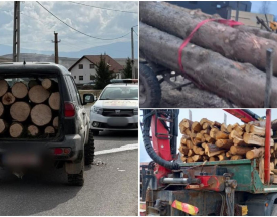 Hoti de lemne arestati pentru transport ilegal in Harghita