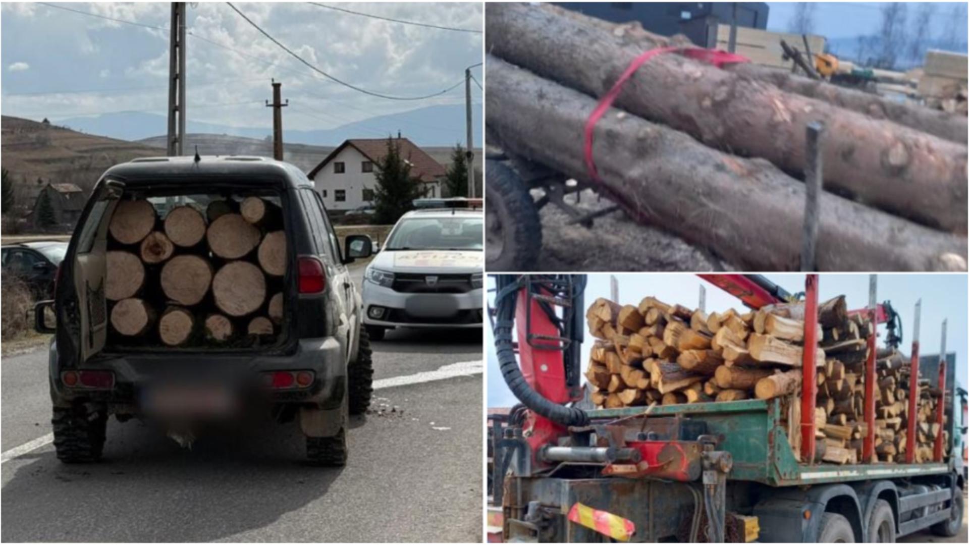 Hoți de lemne arestați pentru transport ilegal în Harghita 1 Hoti de lemne arestati pentru transport ilegal in Harghita