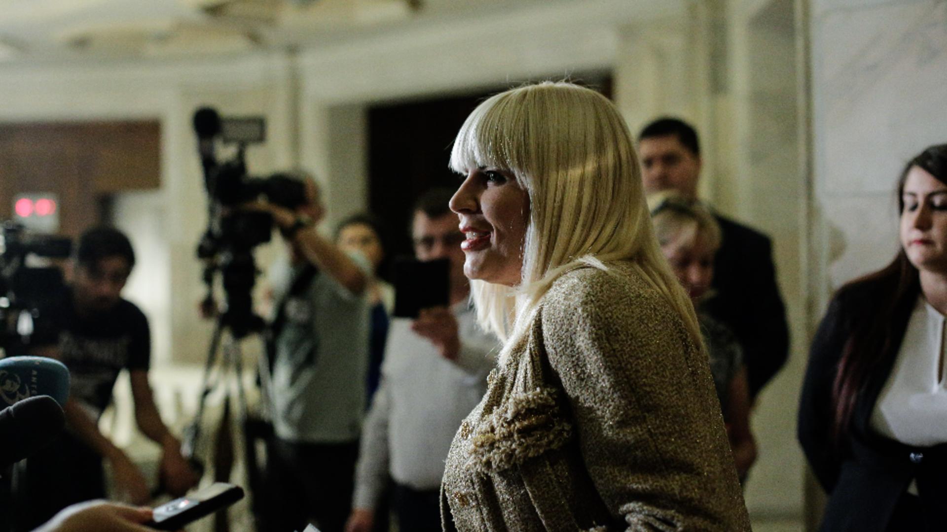 Dosarul Gala Bute Elena Udrea cere reducerea pedepsei cu 5 luni