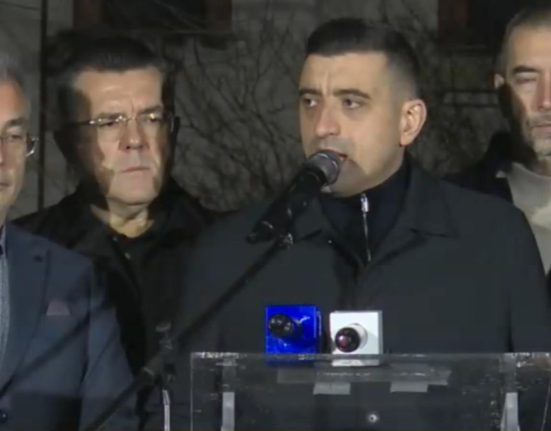 George Simion apel la vot pentru cetateni