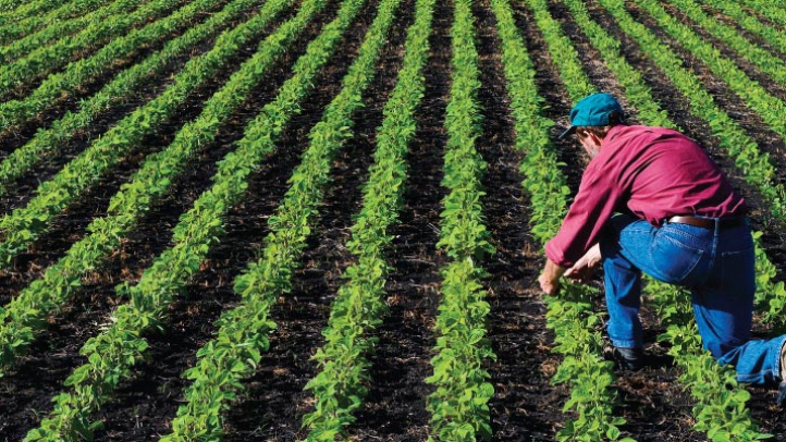 Ministerul Agriculturii a aprobat plata a peste 527 de milioane de euro pentru fermierii romani