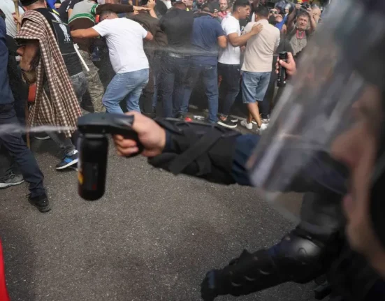 Guvernul anunță măsuri pentru sectorul ovin după protestul ciobanilor din Piața Victoriei