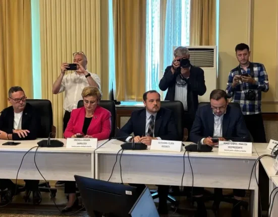 Rogobete despre audierea Oanei Gheorghiu: Am așteptat un program, am primit povești