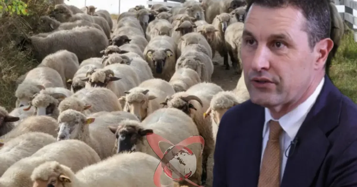Tanczos Barna, avertisment după discuțiile cu fermierii: Agricultura nu mai poate rezista 1 Tanczos Barna, avertisment după discuțiile cu fermierii: Agricultura nu mai poate rezista