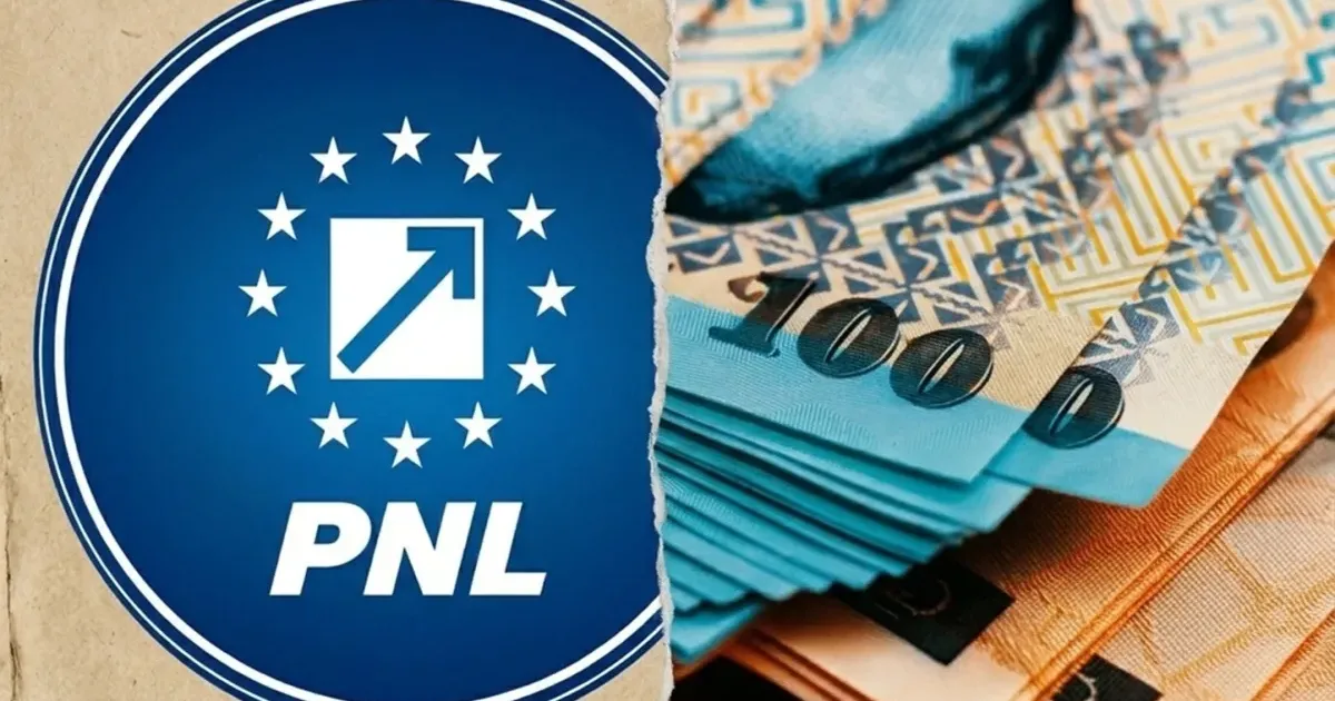 AEP cere ANAF să execute silit PNL pentru recuperarea a 14 milioane de lei
