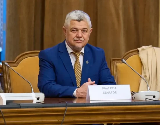 Ninel Peia: Susținem noul Guvern doar cu măsuri de relansare economică