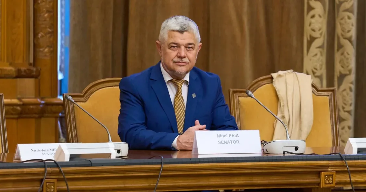 Ninel Peia: Susținem noul Guvern doar cu măsuri de relansare economică 1 Ninel Peia: Susținem noul Guvern doar cu măsuri de relansare economică